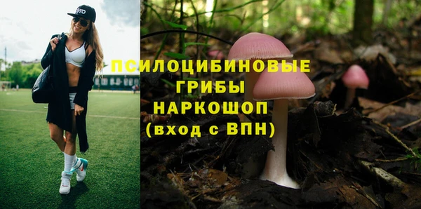 амф Баксан